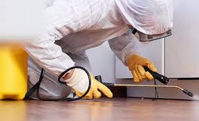 Best Residential Pest Control  in East Stroudsburg, PA